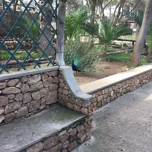 Accommodatie bij particulieren 16, Porto Santo
